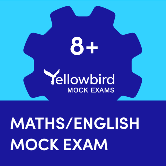 8+ Maths/English Mock